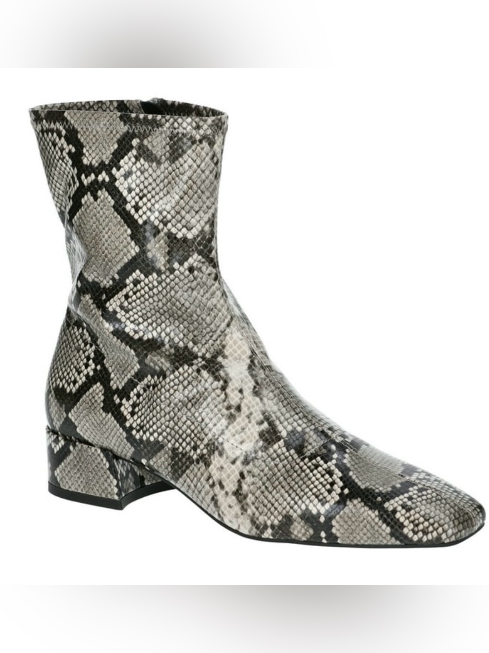 BRAND NEW Scoop Block Heel Ankle Booties Black White Faux Snakeskin Side Zip 6